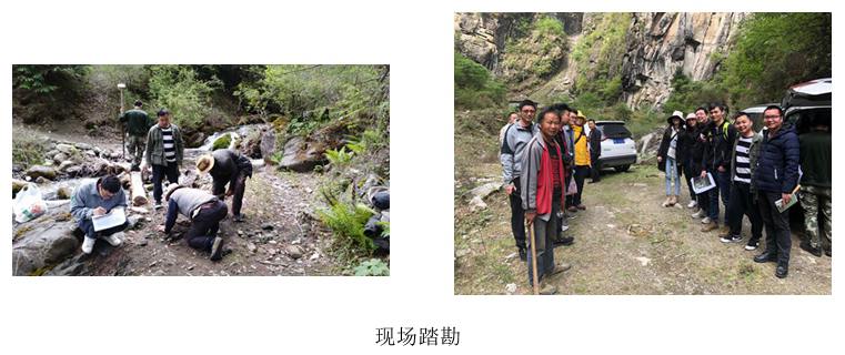 澳新澳门