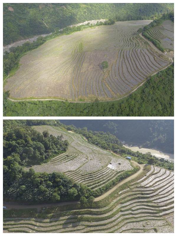 澳新澳门