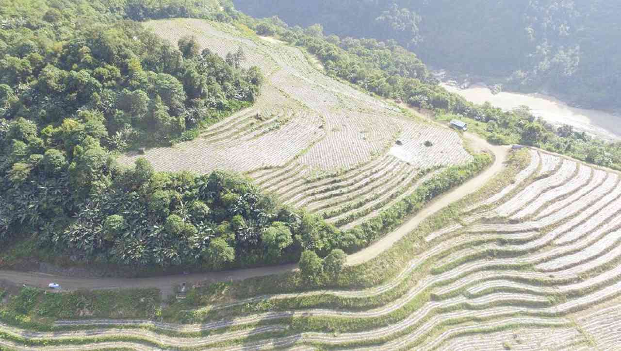 澳新澳门
