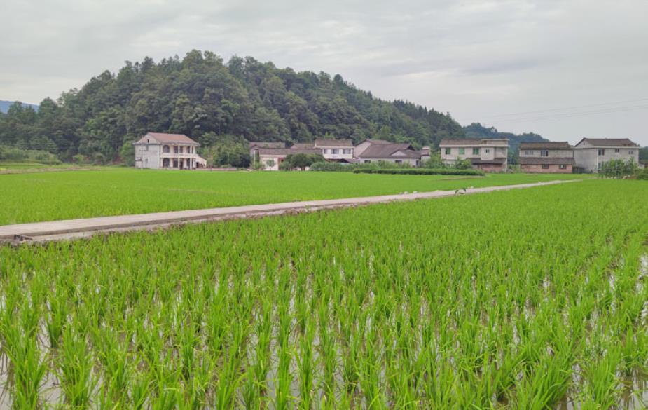 澳新澳门