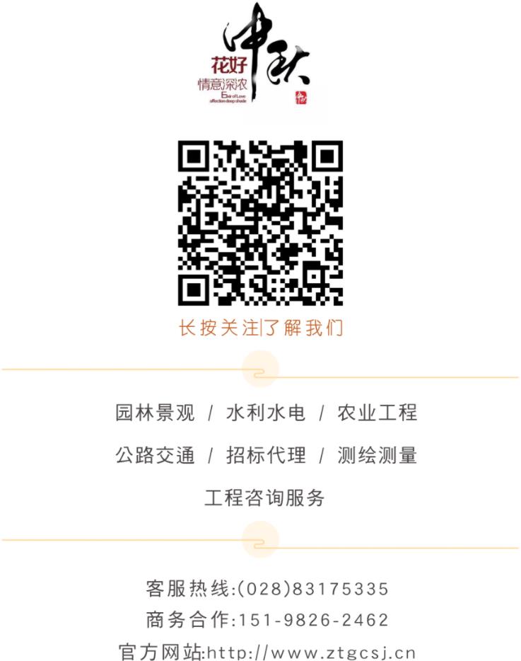 澳新澳门