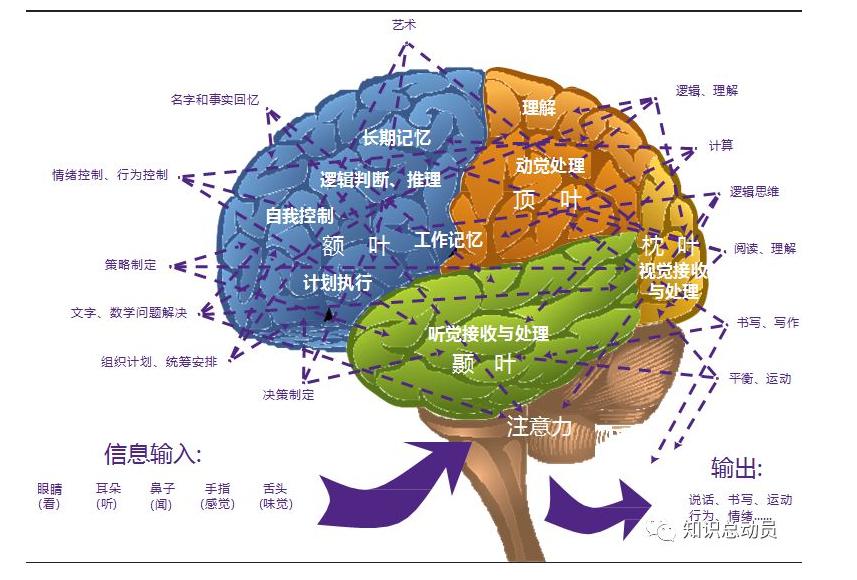 澳新澳门