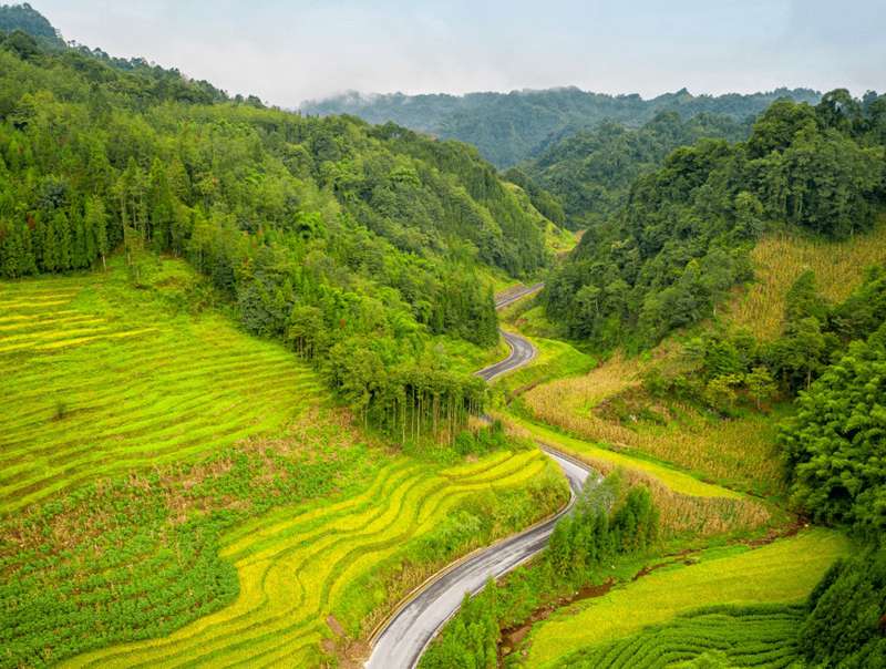 澳新澳门