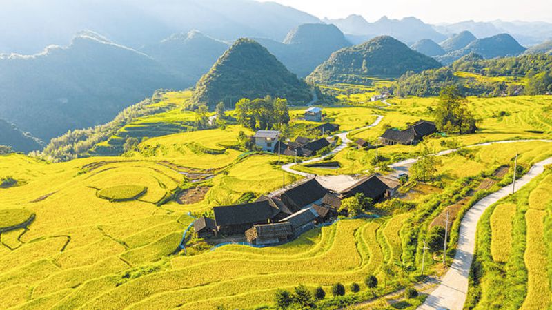 澳新澳门