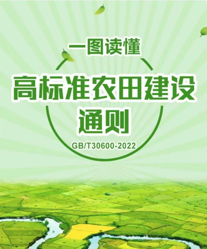 澳新澳门