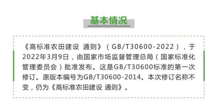 澳新澳门