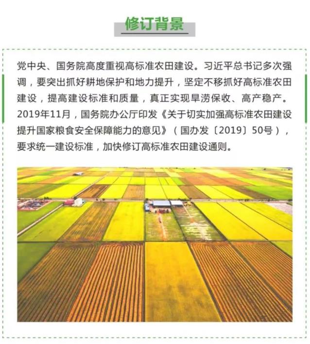 澳新澳门