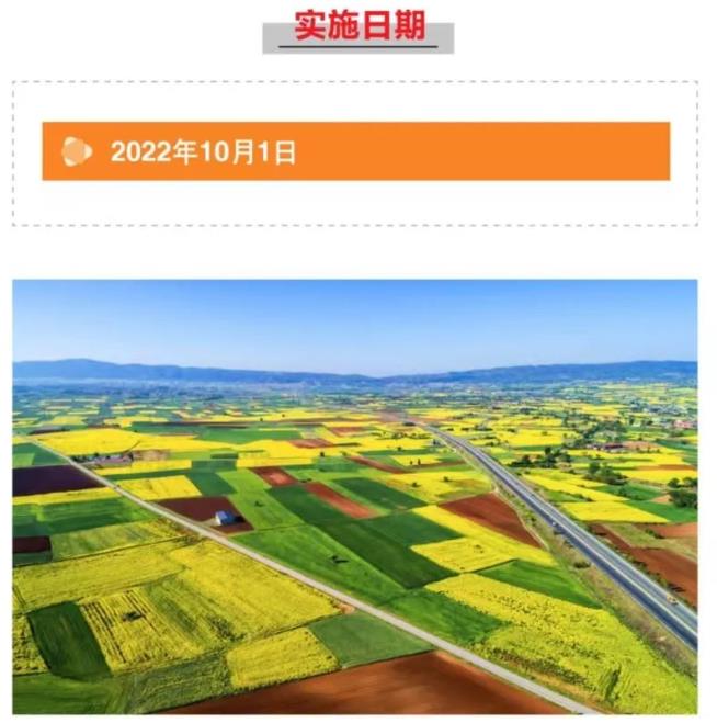澳新澳门